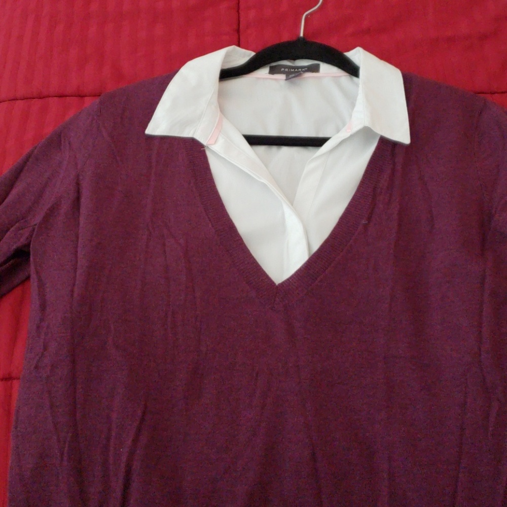 The Limited Purple v-neck sweater